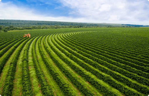 Agro Farm Investment